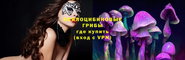СК Арсеньев