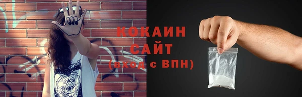 дживик Аркадак
