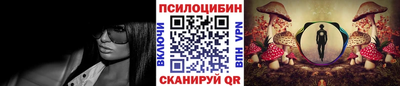 ОМГ ОМГ вход  Городище  Галлюциногенные грибы Psilocybe 